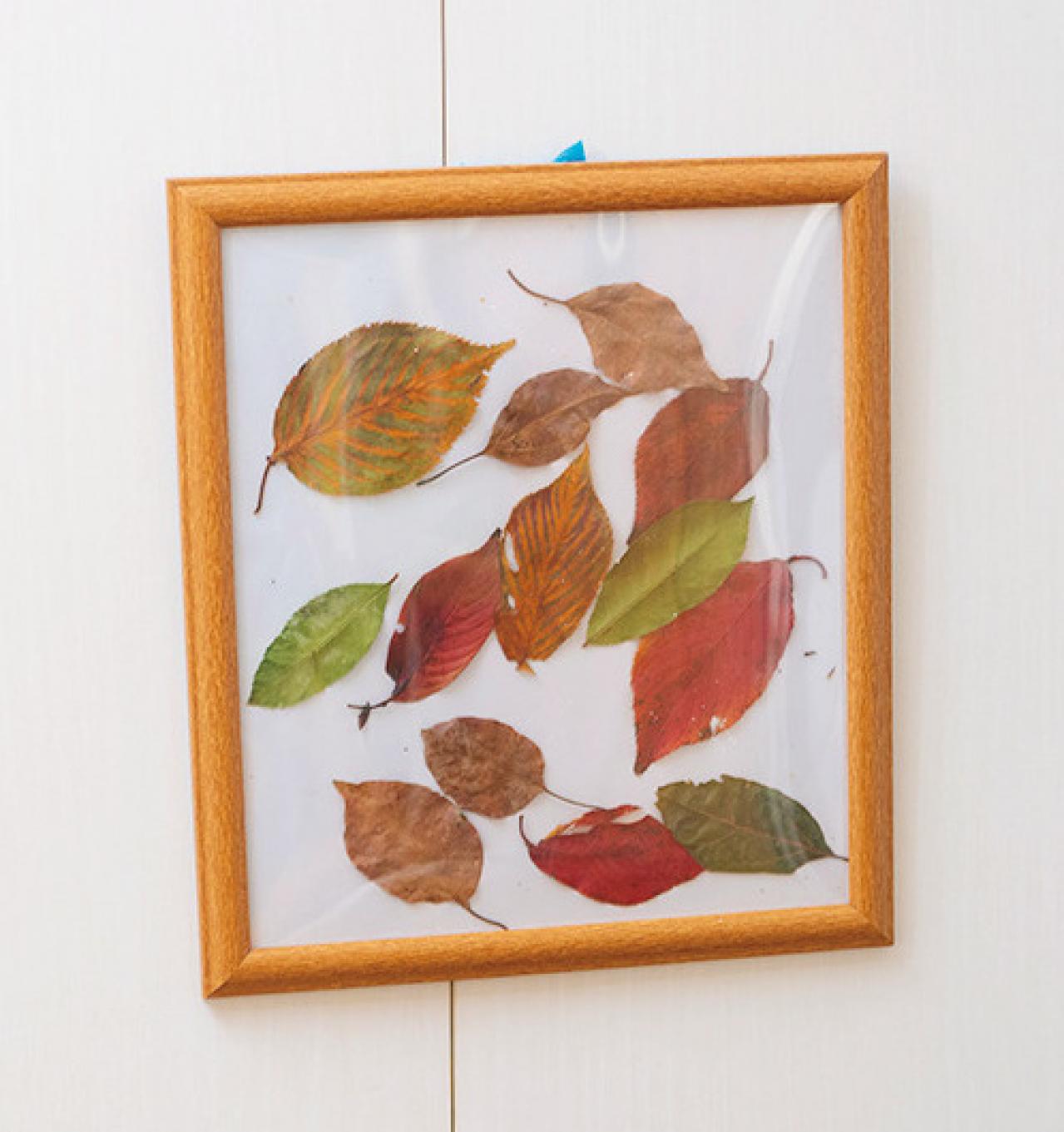 「食費は月１万円」月５万円の年金でセンスよくやりくりする紫苑さん・72歳の節約＆DIYライフ（画像18）