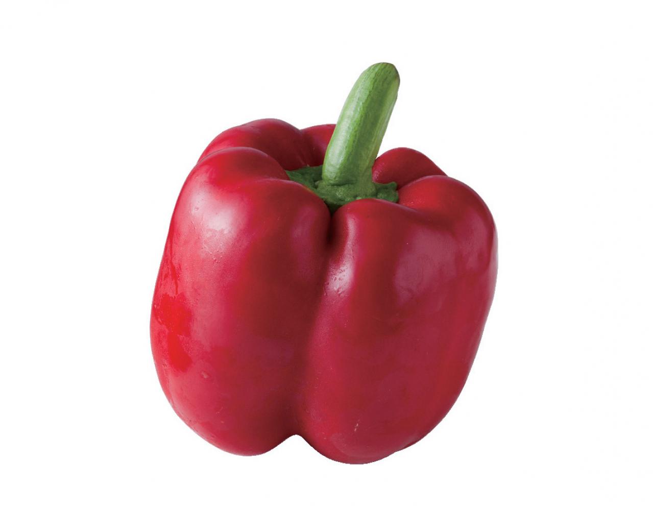 【食品の保存法】野菜を冷蔵で保存し、鮮度をできるだけキープするには？（画像8）