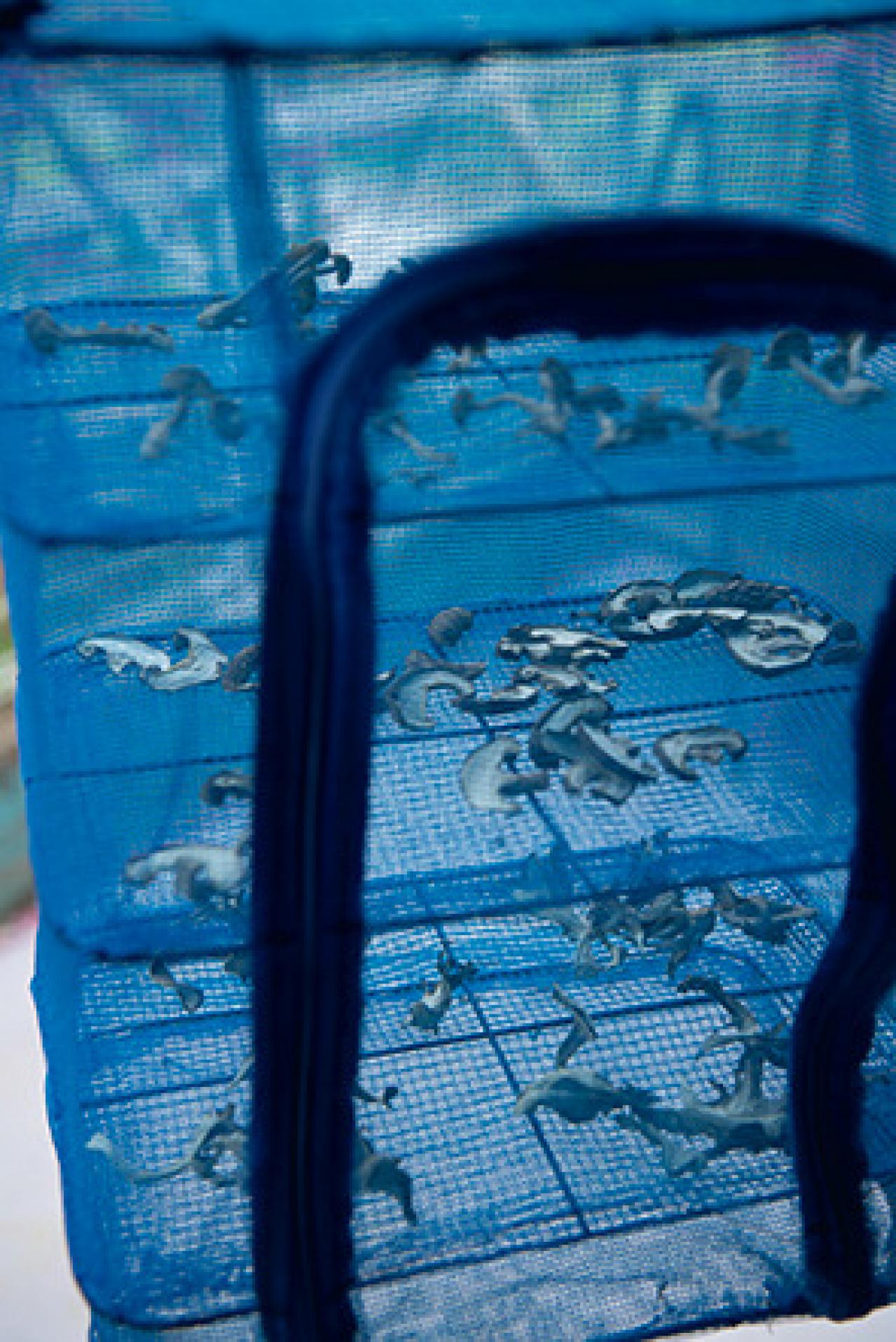 【食品の保存法】干して乾燥させるのがおすすめの野菜5選（画像2）