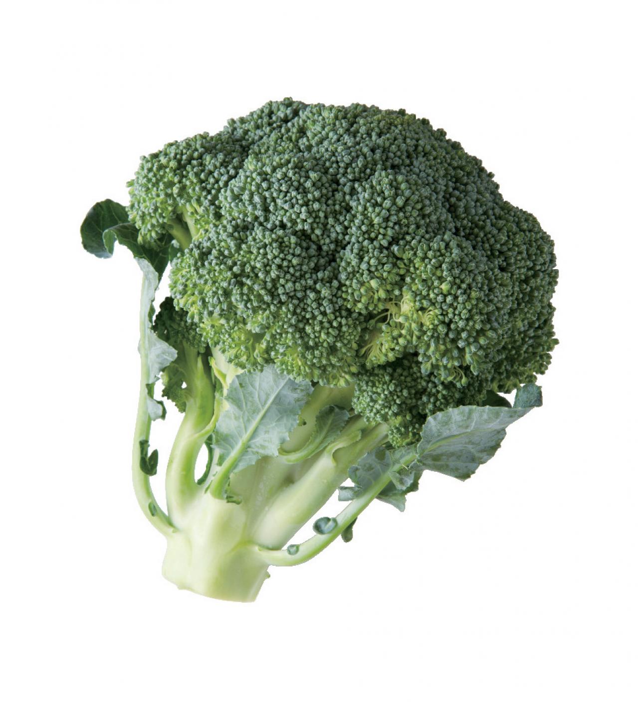 【食品の保存法】干して乾燥させるのがおすすめの野菜5選（画像11）