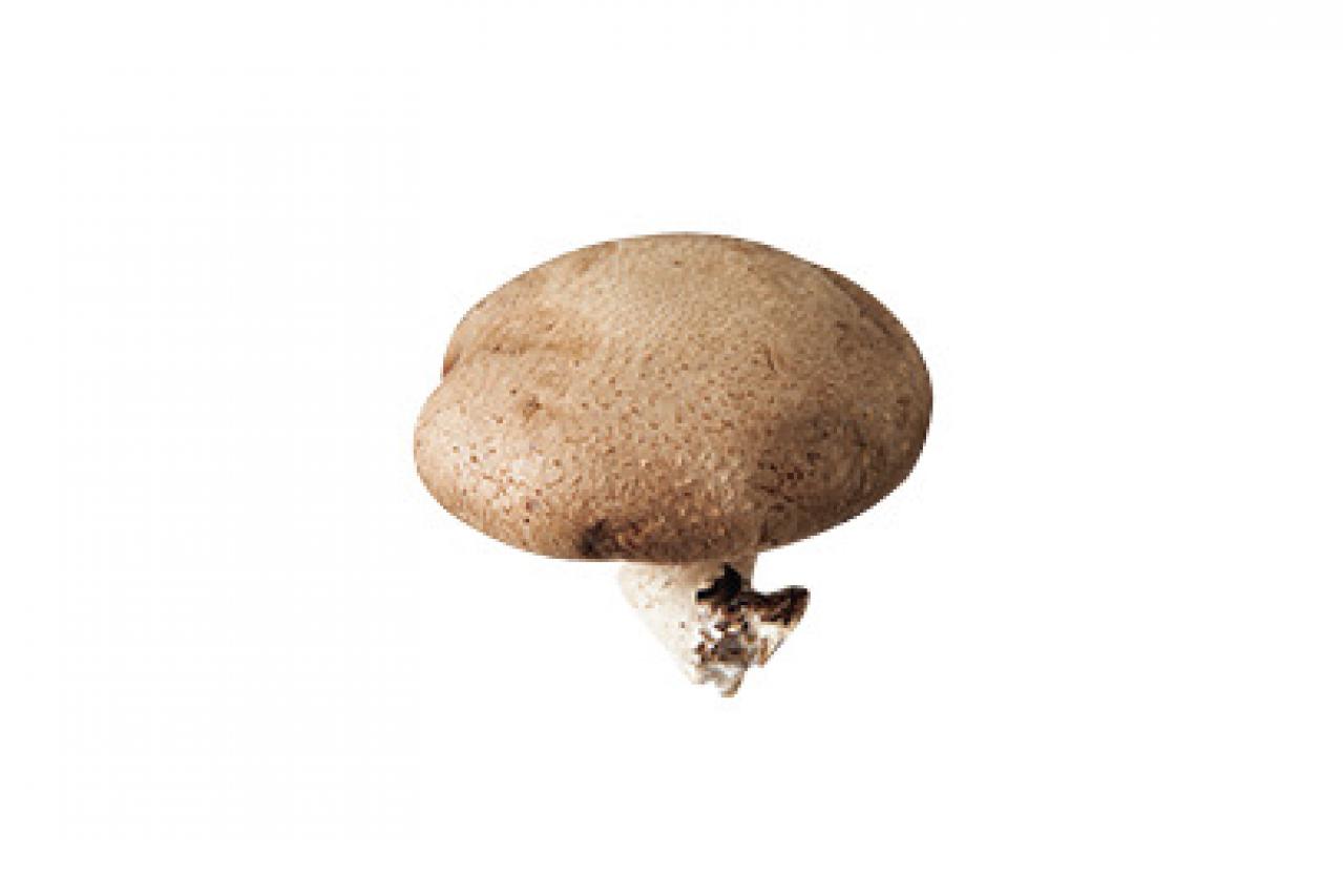 【食品の保存法】干して乾燥させるのがおすすめの野菜5選（画像5）