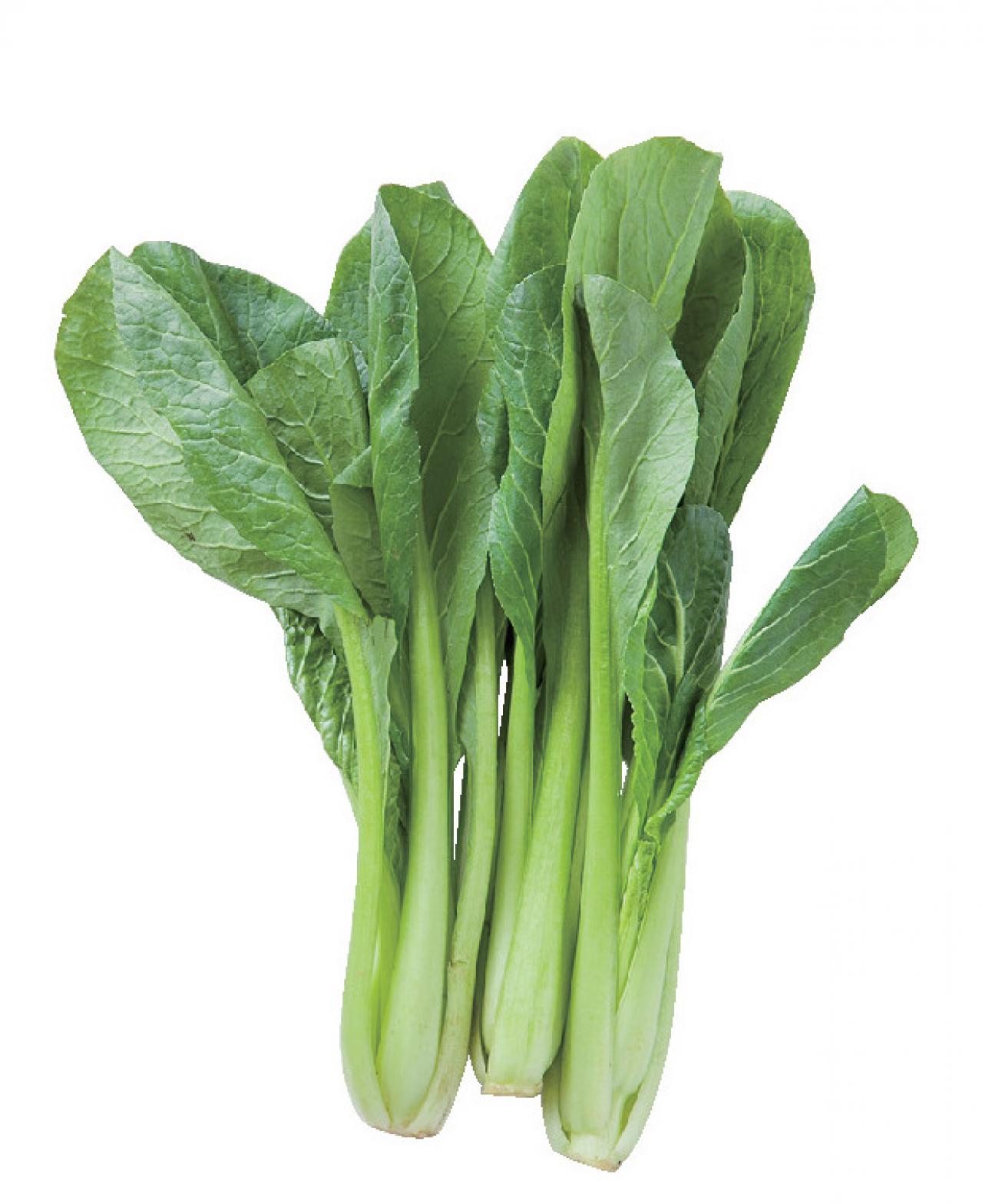 【食品の保存法】野菜を冷蔵で保存し、鮮度をできるだけキープするには？（画像6）