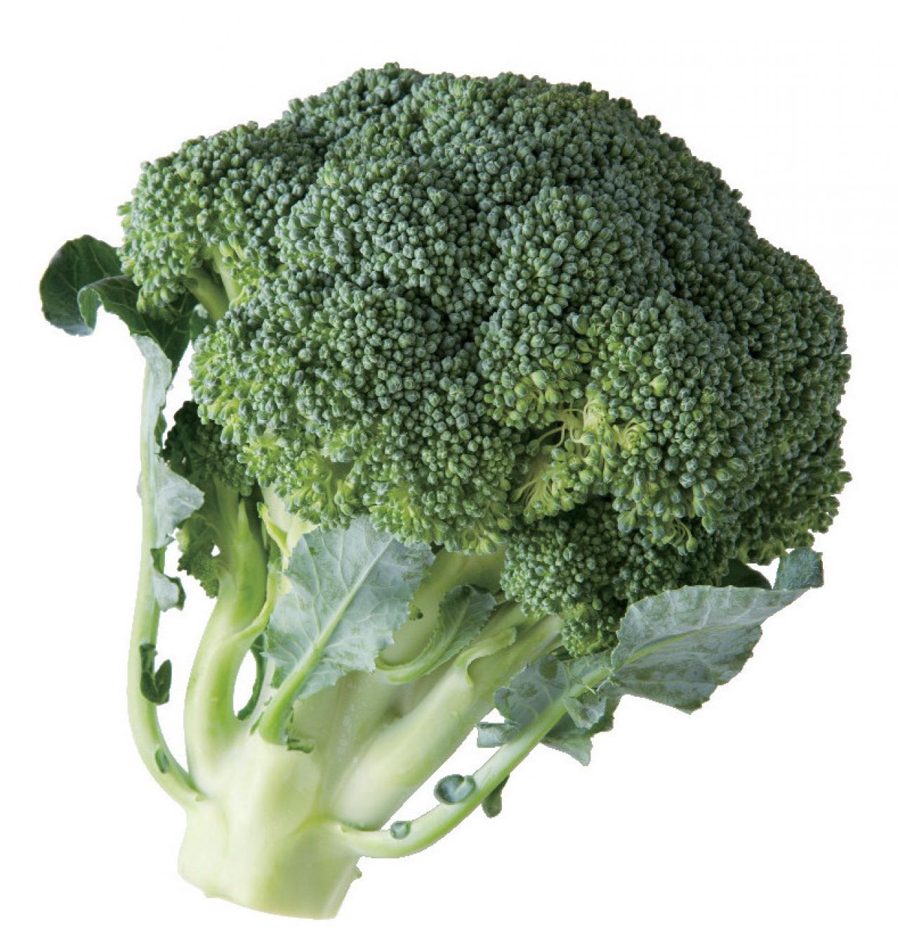 【50代からの快眠術】朝までぐっすりと眠れる体になるための「生活習慣」と「食事のコツ」とは？（画像10）