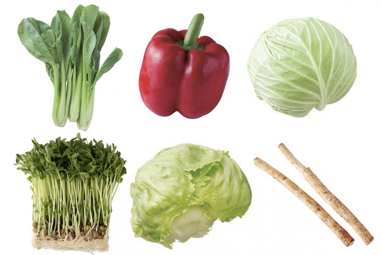 【食品の保存法】野菜を冷蔵で保存し、鮮度をできるだけキープするには？