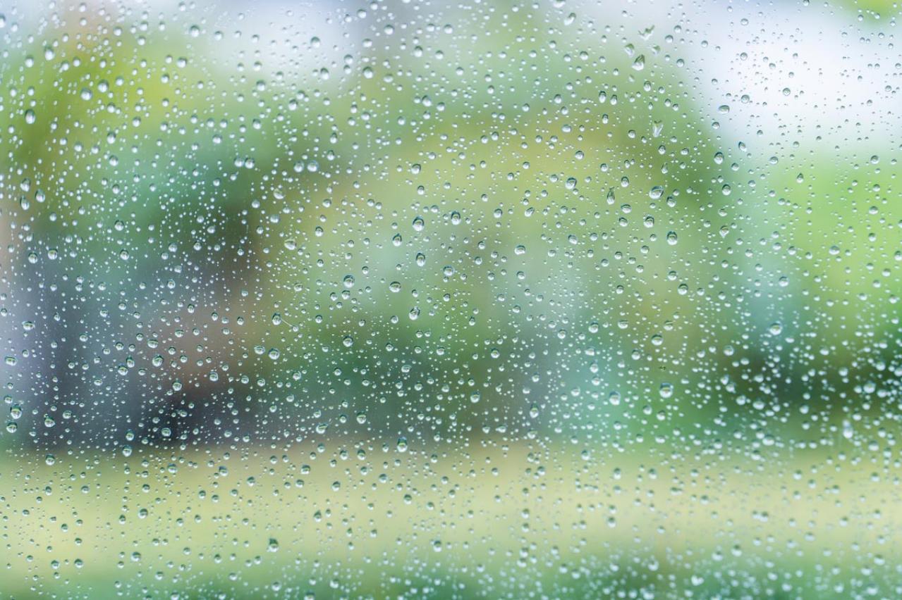 梅雨時のイライラを解消する２つの方法とは？ カウンセラー 時田ひさ子さんが提案