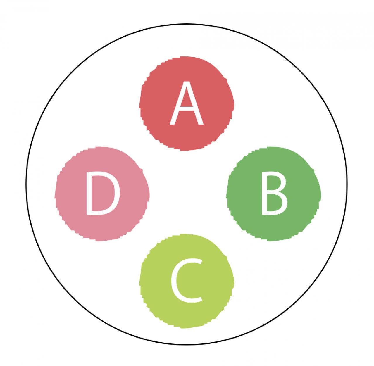 【ガーデニング】半日陰でもOK！ 晩秋まで華やかに咲く【インパチエンスの寄せ植え】（画像5）