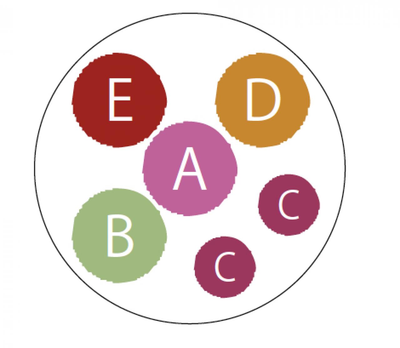 【ガーデニング】暑さと乾燥に強く、夏におすすめの多年草【ニチニチソウの寄せ植え】（画像3）