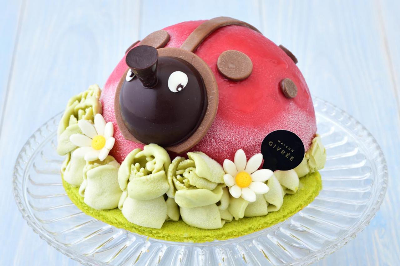 かわいすぎるスイーツ！【てんとう虫のアイスケーキ】お菓子研究家 飯田順子さんのお取り寄せ