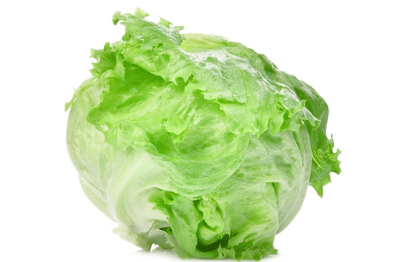 意外と知らない【レタス】の冷凍保存術！時短調理＆栄養アップレシピも