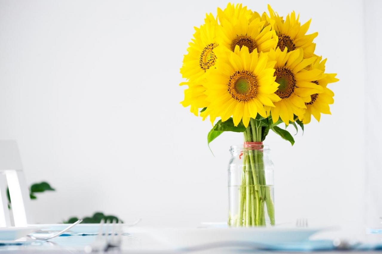 中道あんさん流・自分を輝かせる方法「マチュア世代は豊かなシニアの準備期間と思って行動を」