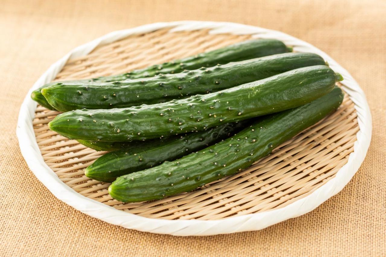 痩せる食べ物の代表格【きゅうり】レシピ4選【ダイエットの名医おすすめ】