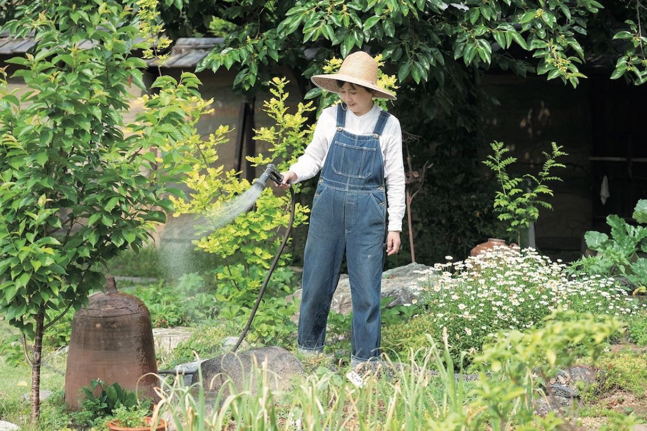 「私の熱中症対策」暮らしの賢者・山本ふみこさんがやっている【梅レシピ】とは？（画像3）