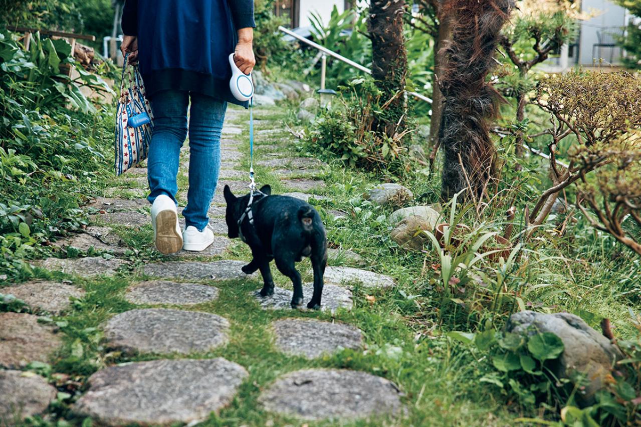 72歳・元ミス日本　伊藤千桃さんの小さくて自由な暮らし。「自然の中に身を置いて、目の前のことにこつこつと精を出す毎日」（画像8）