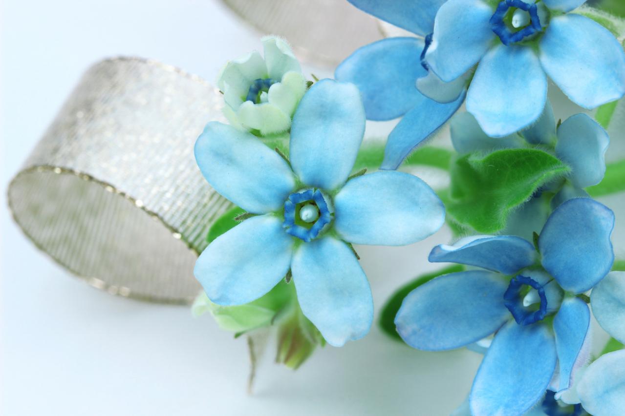 【葬儀にまつわるQ＆A】一般葬、家族葬、直葬の違いとは？  もしもの場合に備えて今から考えておくべきことは？