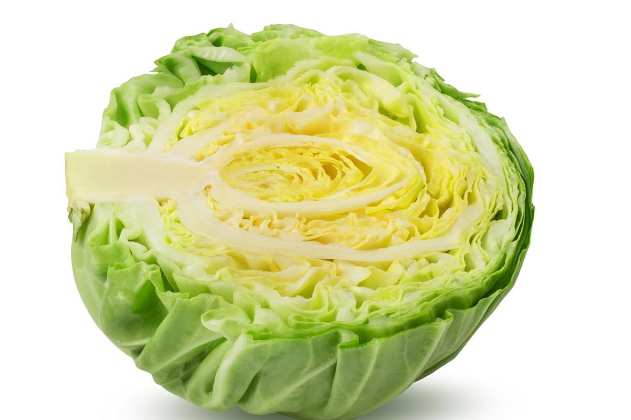 意外と知らない！【キャベツ】保存のコツ。冷蔵前のNG行動＆冷凍保存活用術