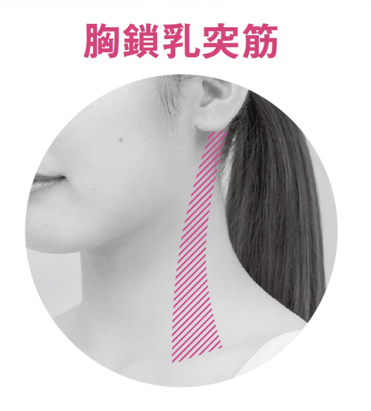 キュッとした小顔になると今、話題の【顔面縮小マッサージ】（画像2）