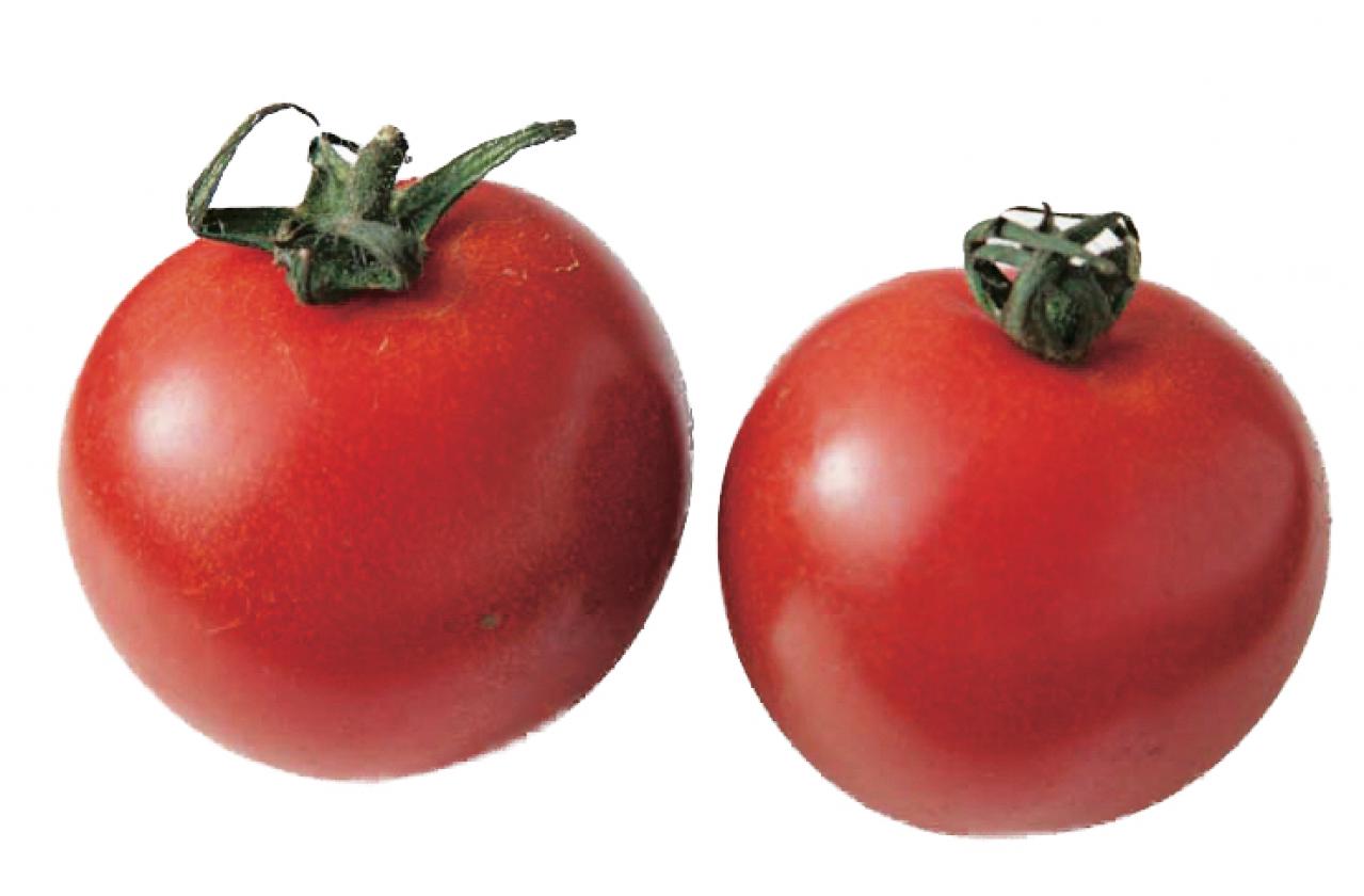 【ふしぎなトマト様♡ご確認ページ】 ぷるるんトマトなべしき/しばたま – クレコ (Creators' Collection)