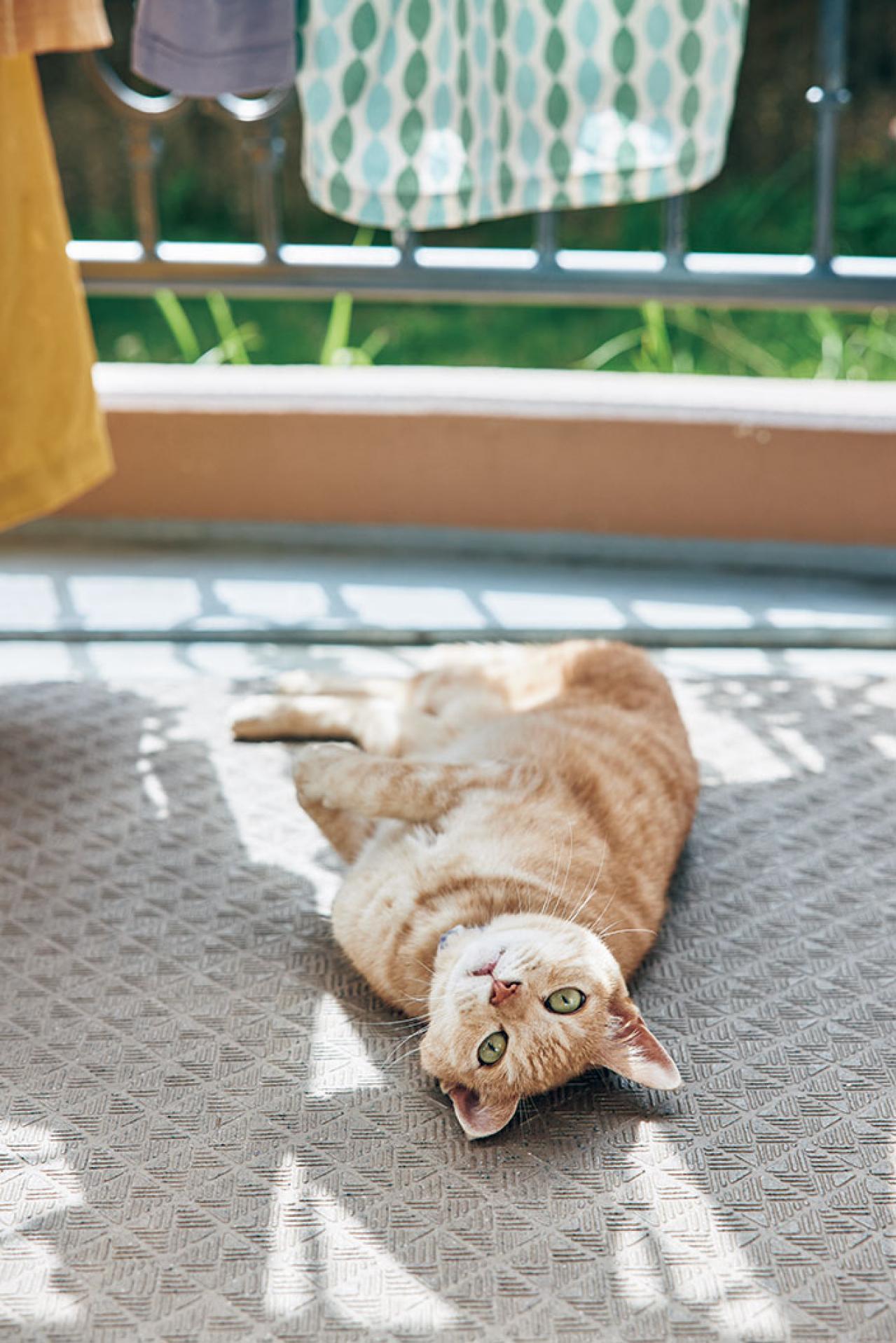 60才にして人生初のひとり暮らし。「なんでもない日常に喜びを見出せるようになった今の自分が誇らしい」Mimiさん（画像3）