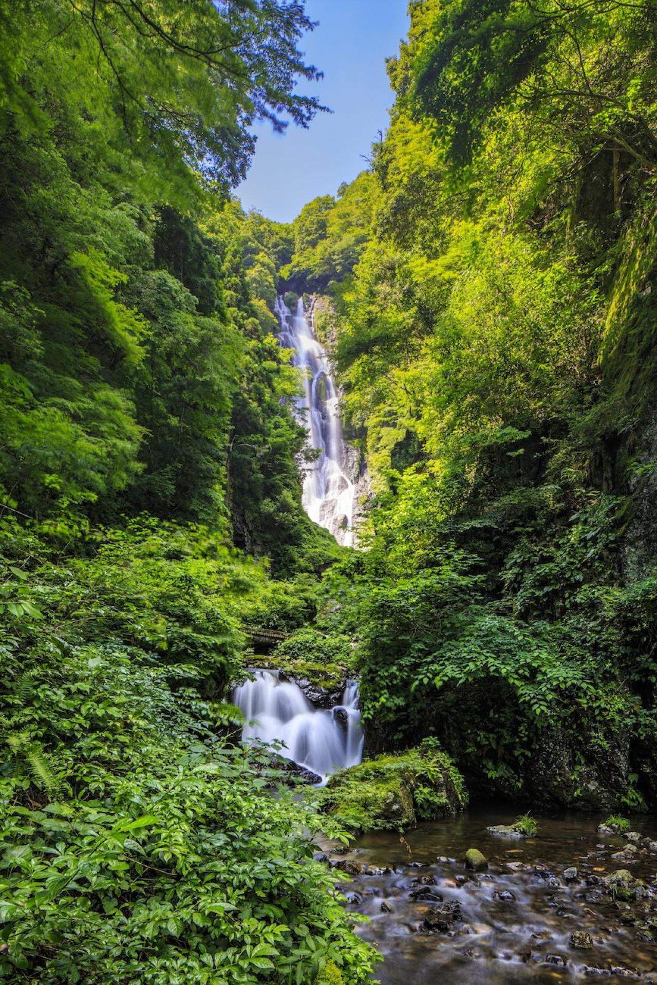 水の勢いに圧倒され、パワーをもらえる日本の【滝】2選。 旅行ジャーナリスト・津田令子さんおすすめ（画像2）