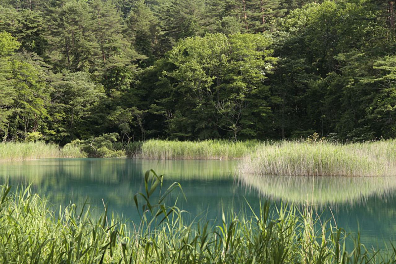 水の色の変化が神秘的な日本の【湖・沼】2選。 旅行ジャーナリスト・津田令子さんおすすめ（画像9）