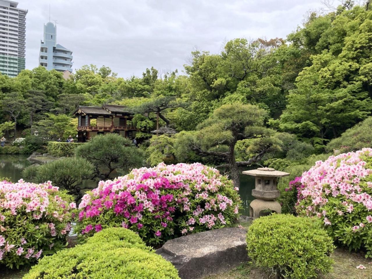 【60代の住み替え】老後を見据えて戸建てからコンパクトなマンションに！ ファイナンシャルプランナー・井戸美枝さんの実例（画像5）
