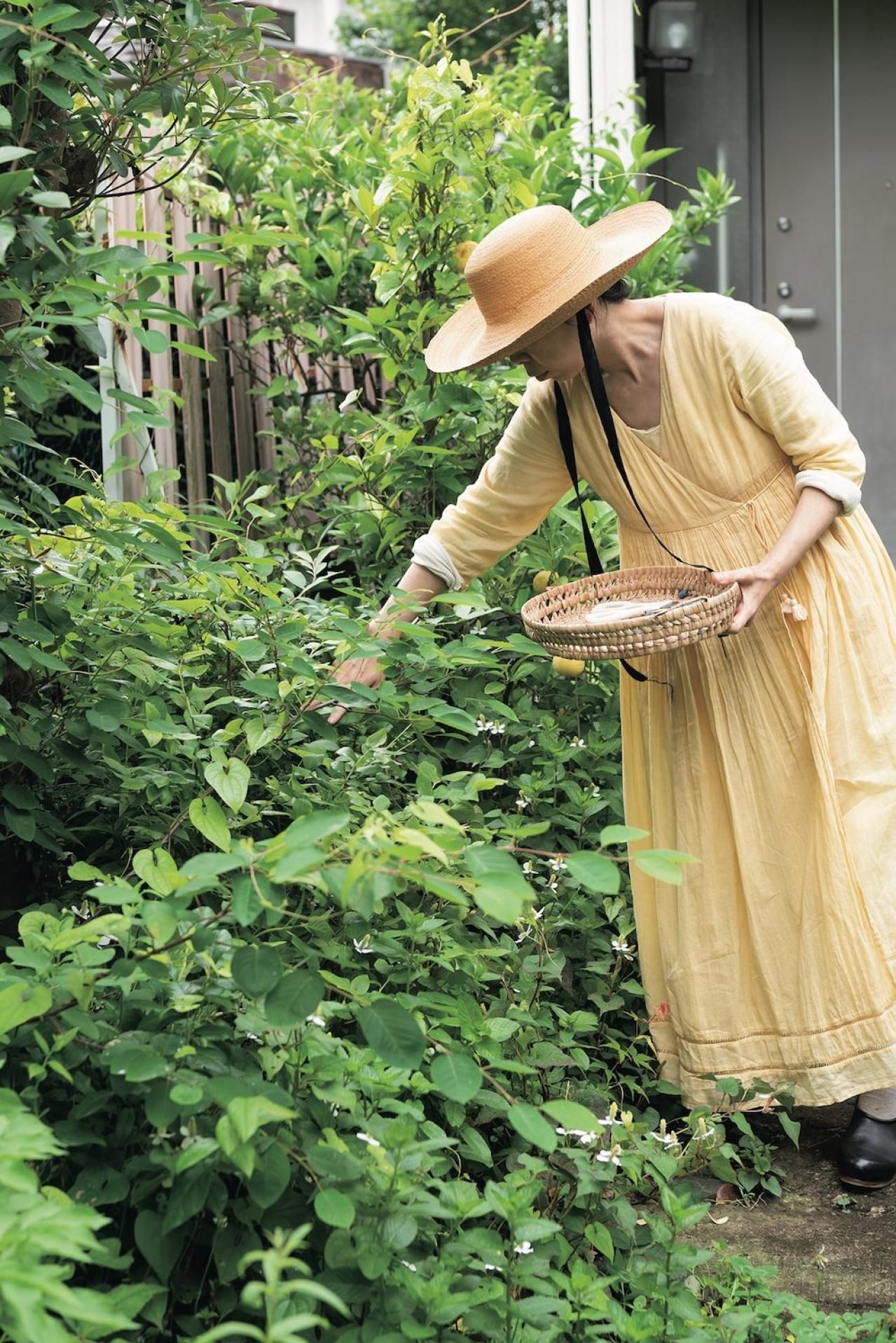 【料理家・中川たまさん】の住み替え実例「50代以降の暮らしを見据え、自然を楽しめる庭つきの戸建てへ」（画像5）