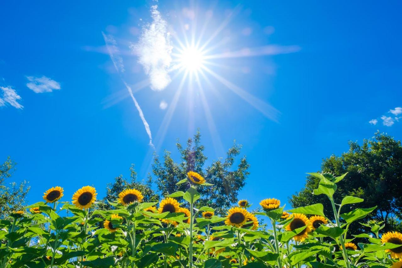 臭いケアの新常識！ドクターハッシー監修、50代女性が知るべき8つの基本法とは？