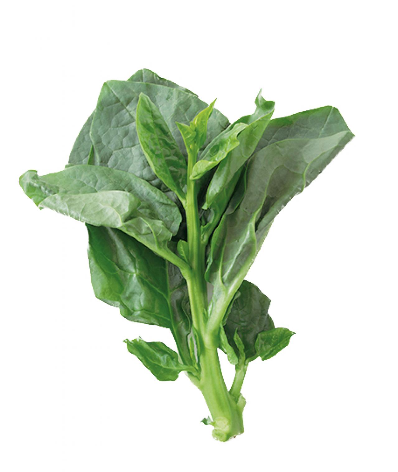 【ツルムラサキ】の簡単でおいしい主菜＆副菜2選「いかのカレーしょうゆ炒め」「焼き油揚げの梅しょうが和え」（画像2）