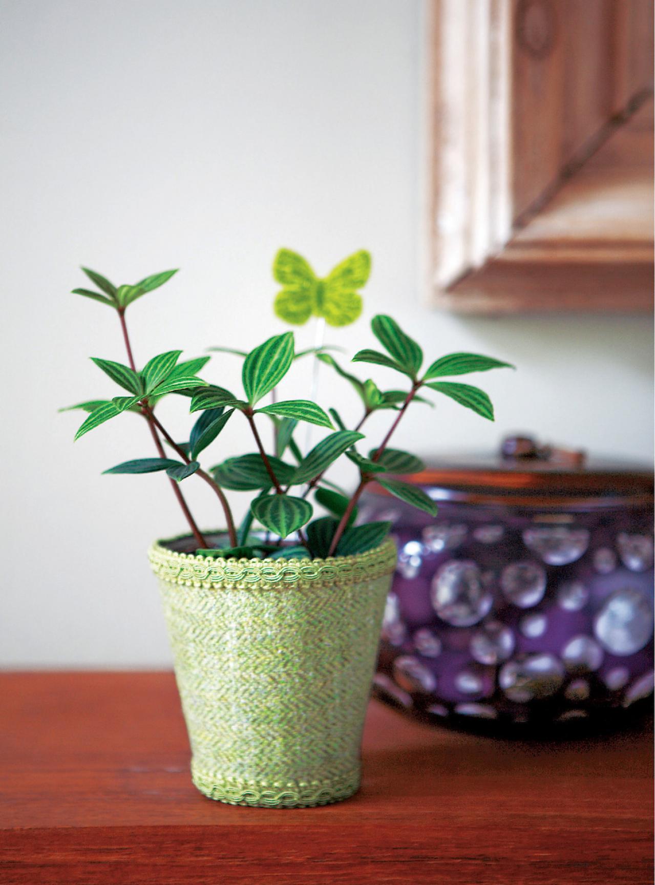 【ガーデニング】鉢カバーで「観葉植物」をよりおしゃれに楽しむ！ 吉谷桂子さん流の簡単アイデアとは？（画像3）