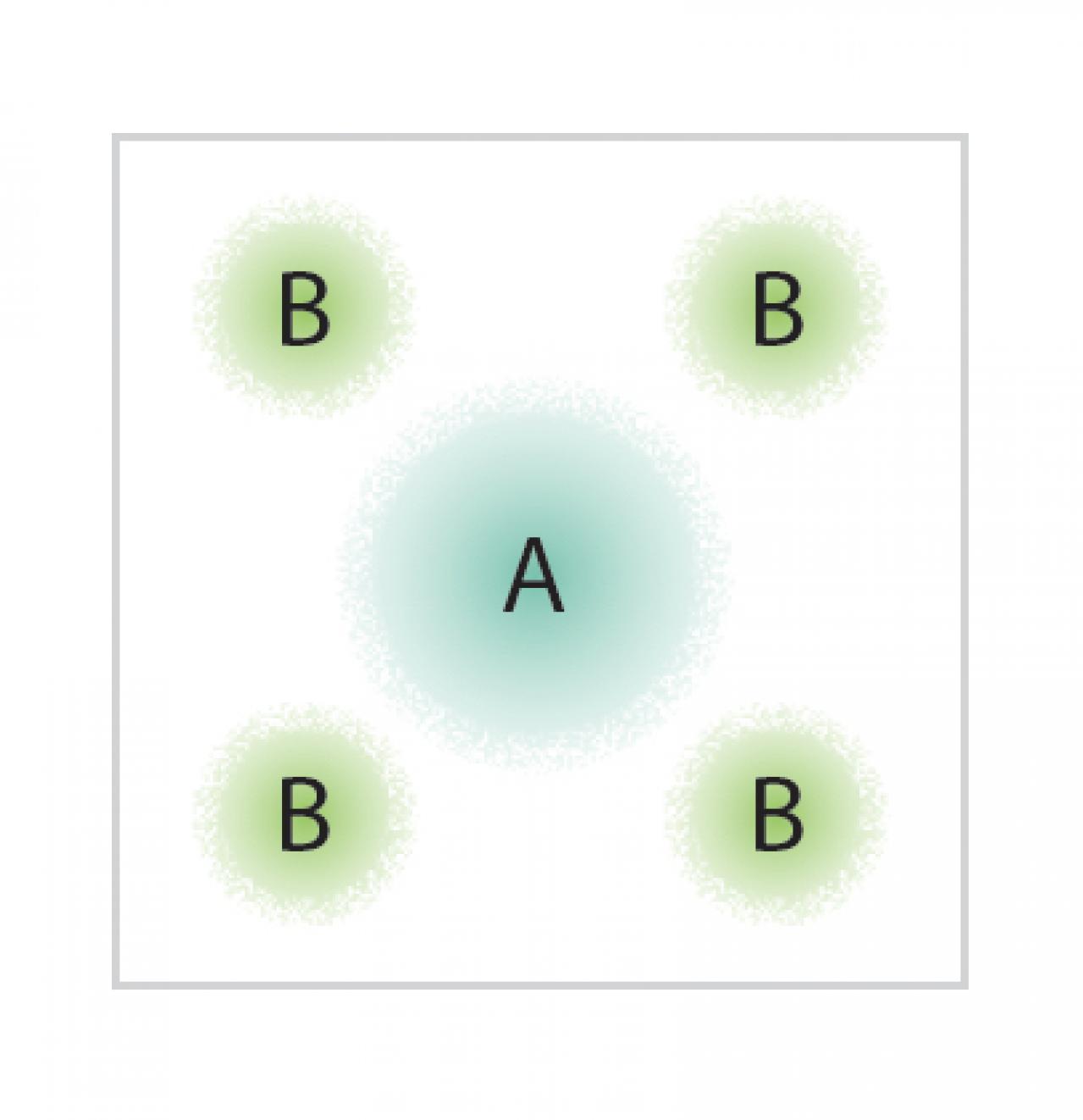 【観葉植物】 室内がすっきり見える！ インテリアグリーンの寄せ植え【ガーデニング】（画像5）