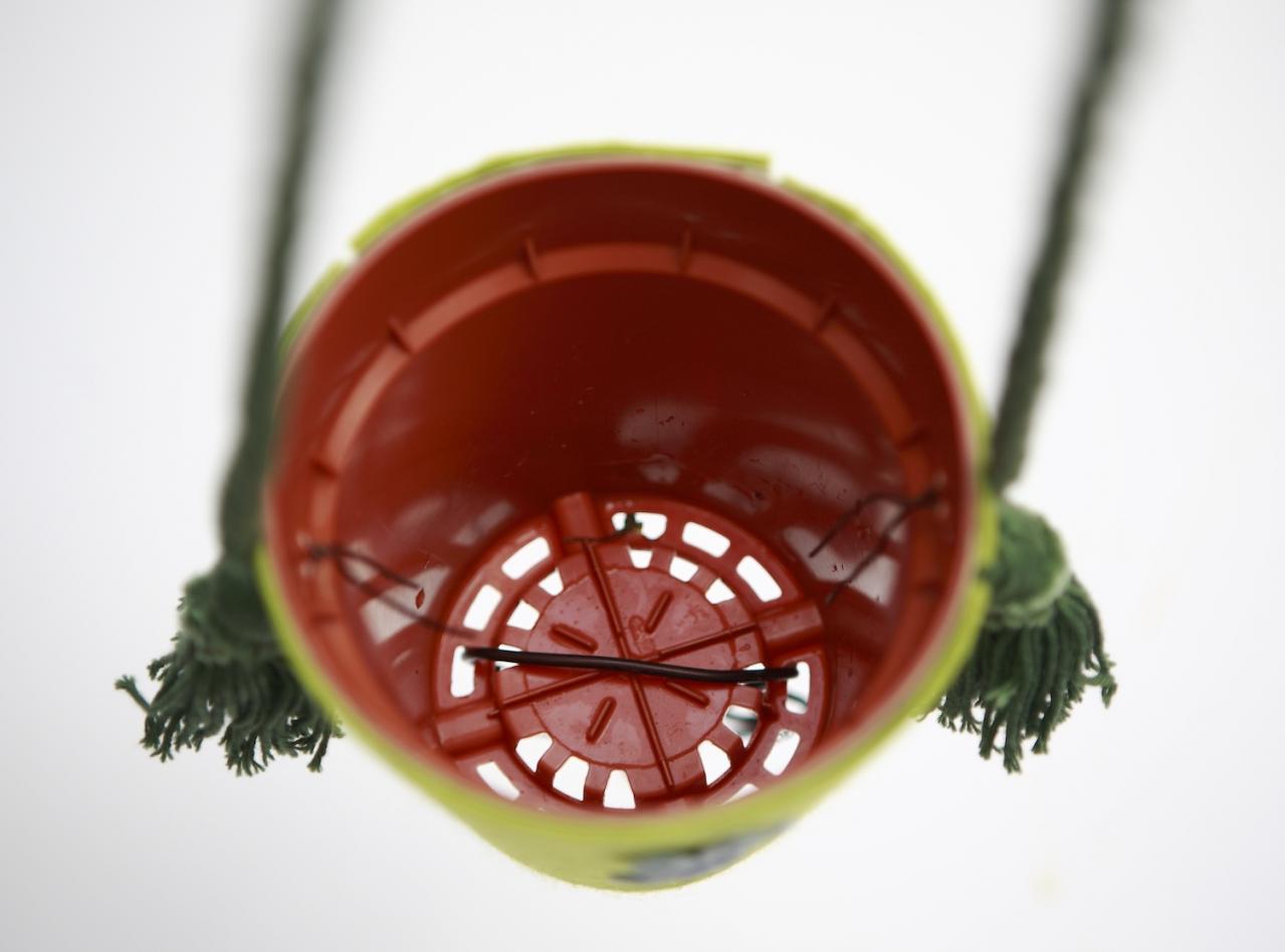 【ガーデニング】気軽におしゃれに楽しめる「観葉植物」のハンギングアイデアとは？（画像8）