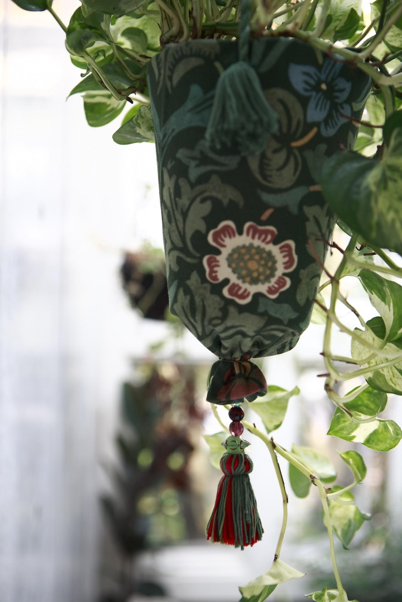 【ガーデニング】気軽におしゃれに楽しめる「観葉植物」のハンギングアイデアとは？（画像3）