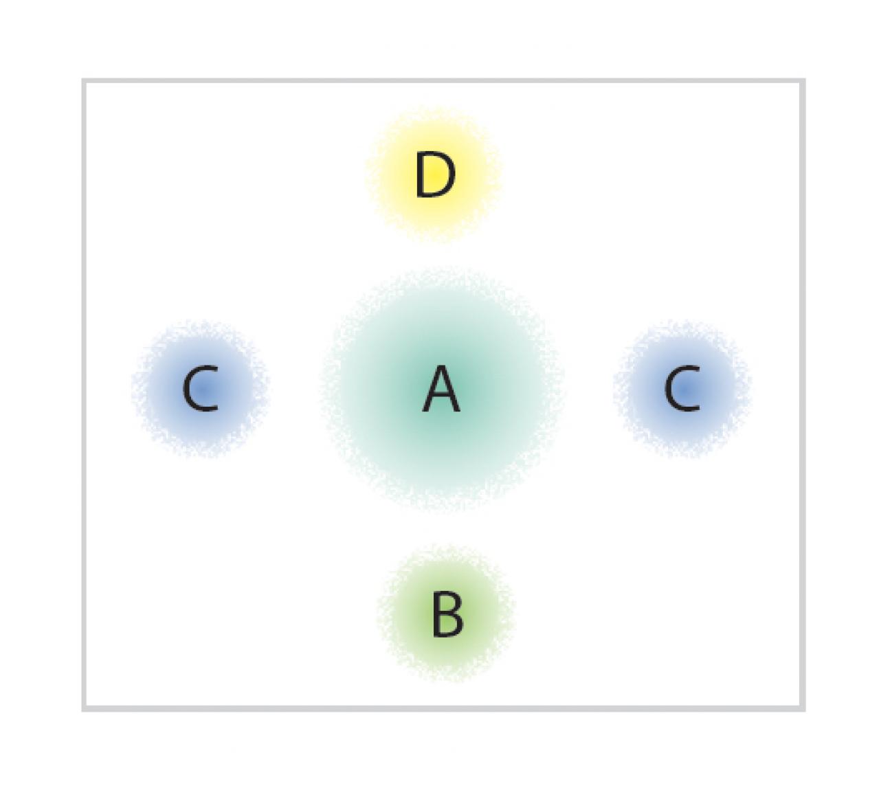 【ガーデニング】室内がすっきり見える！「観葉植物の寄せ植え」アイデア（画像3）