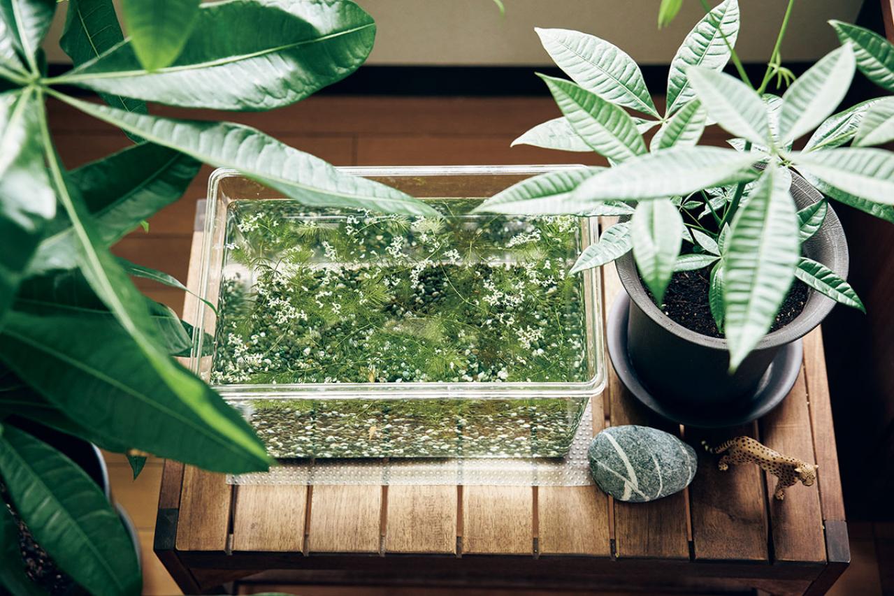 60歳を過ぎて始めた動画制作。「不安にとらわれる時間を、今を楽しむために使いたい」yamaさん【後編】（画像12）