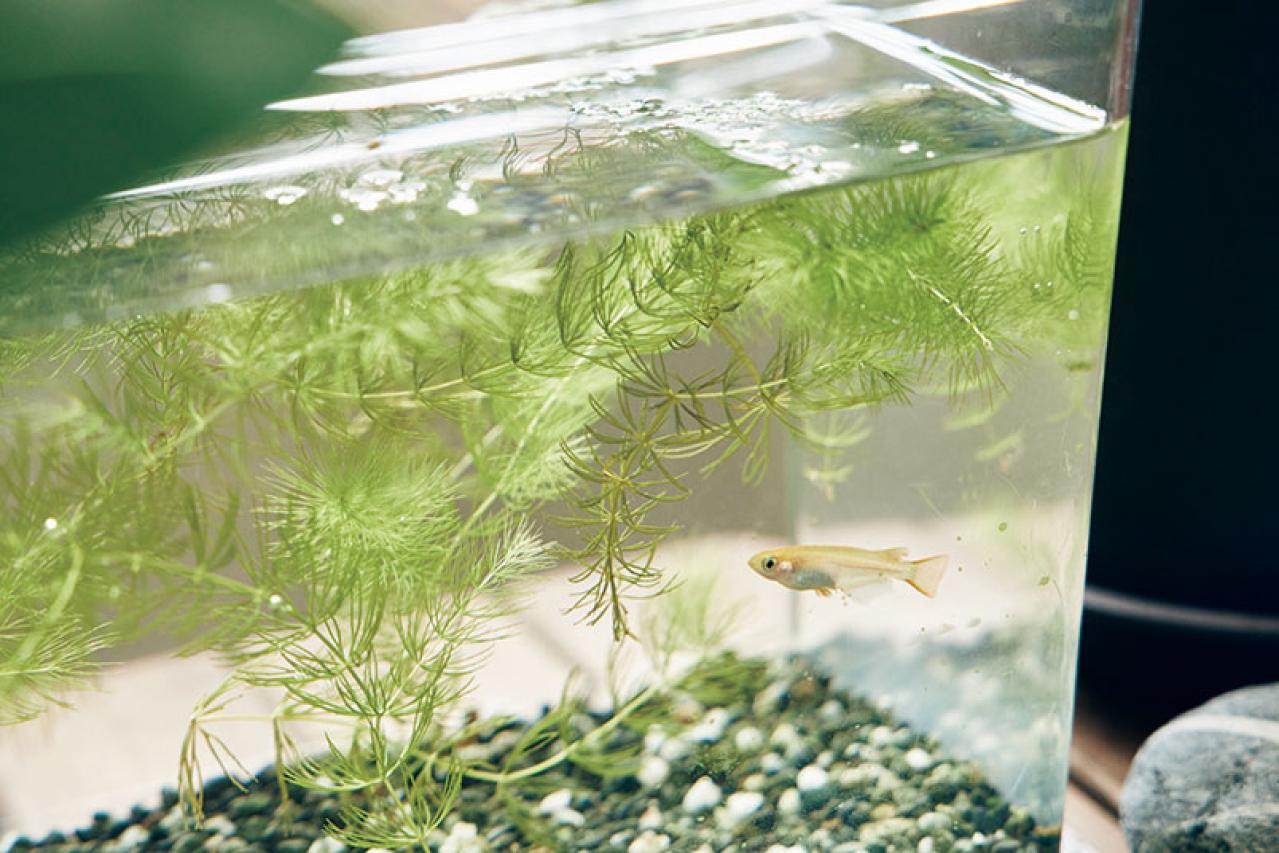 60歳を過ぎて始めた動画制作。「不安にとらわれる時間を、今を楽しむために使いたい」yamaさん【後編】（画像13）