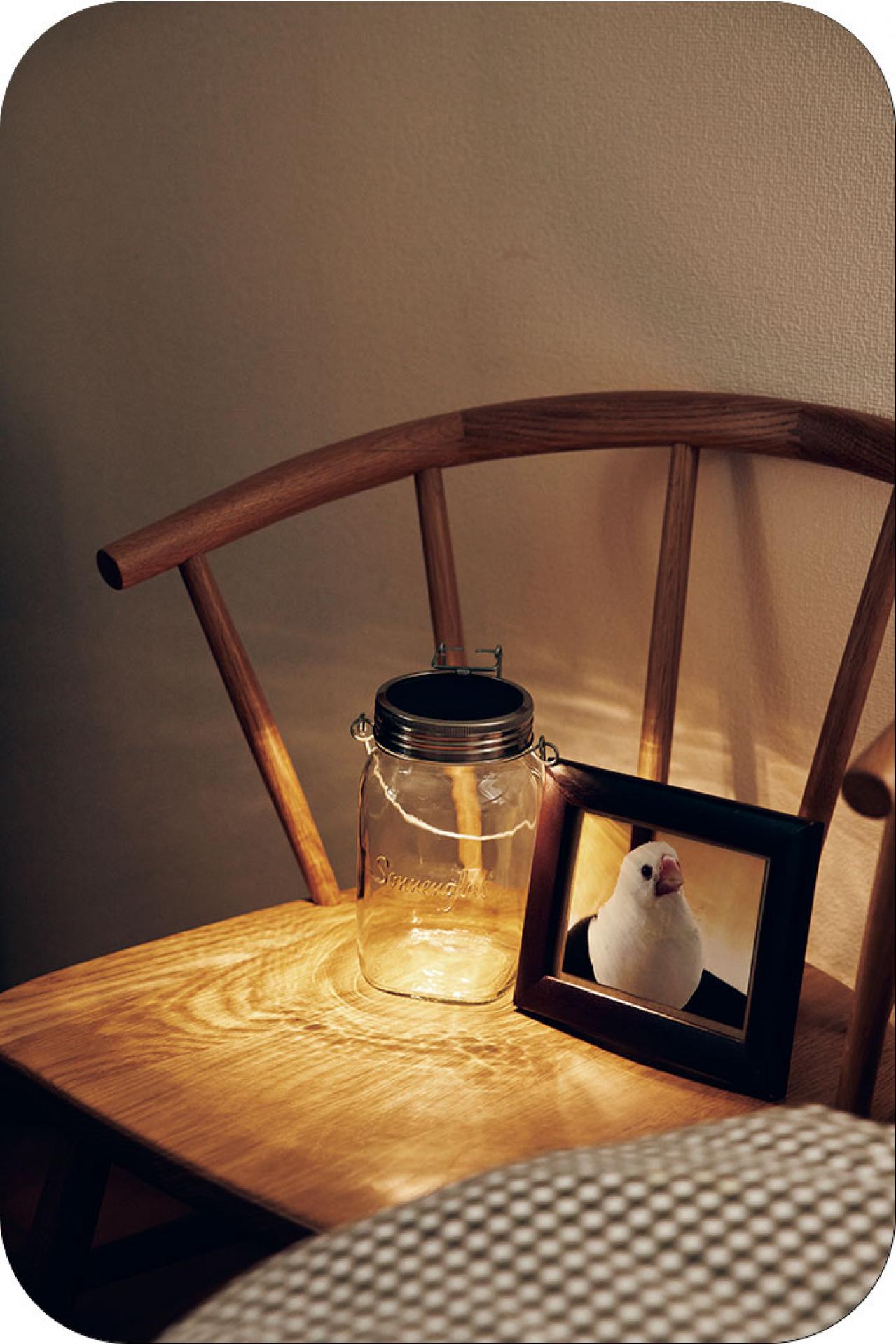 60歳を過ぎて始めた動画制作。「不安にとらわれる時間を、今を楽しむために使いたい」yamaさん【後編】（画像15）