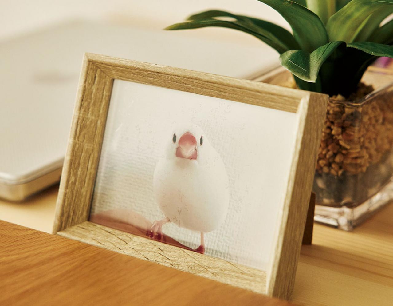 60歳を過ぎて始めた動画制作が日々の糧に。yamaさんの小さくて自由な暮らしとは（画像3）