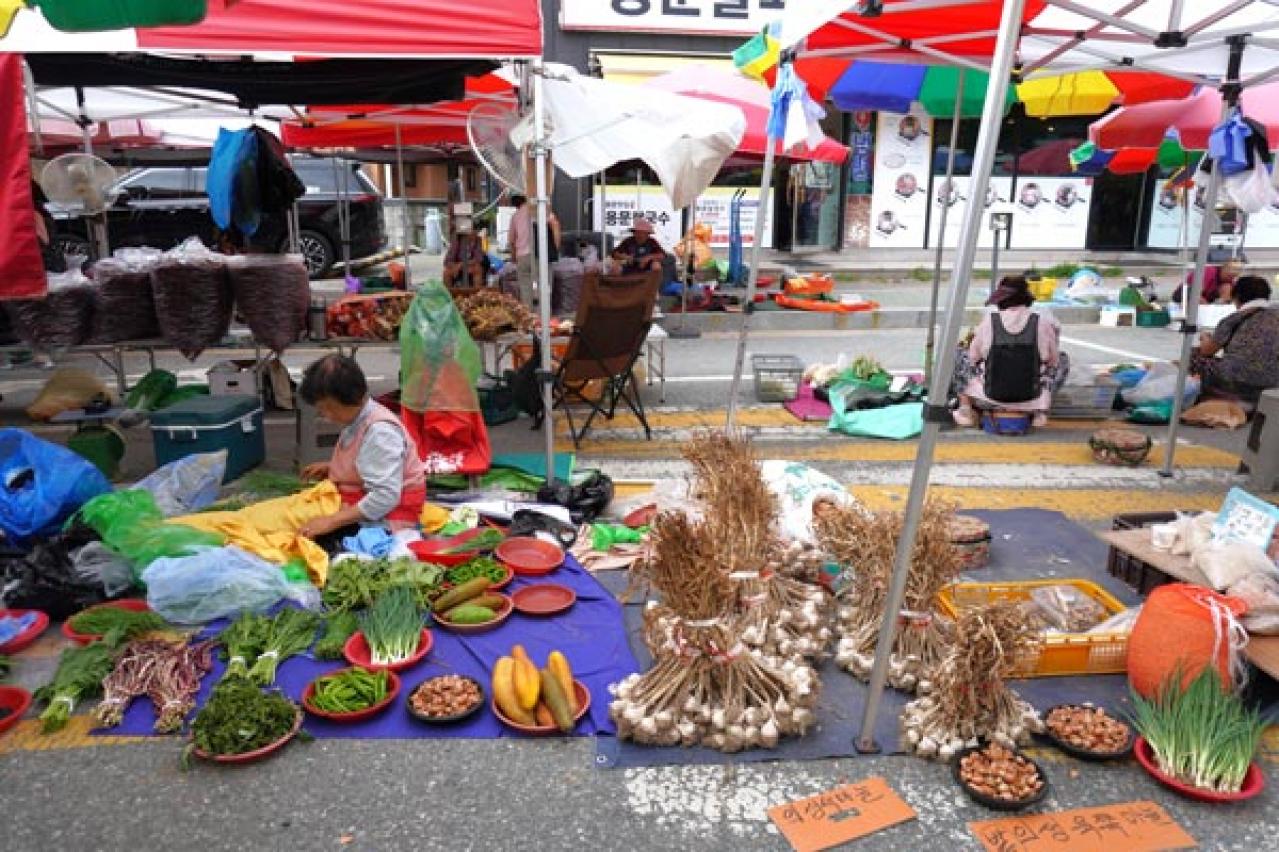 韓国ドラマ「キング・ザ・ランド」に登場した昔ながらの食堂で野菜たっぷりの定食を。地方ならではの青空市場も！（画像8）