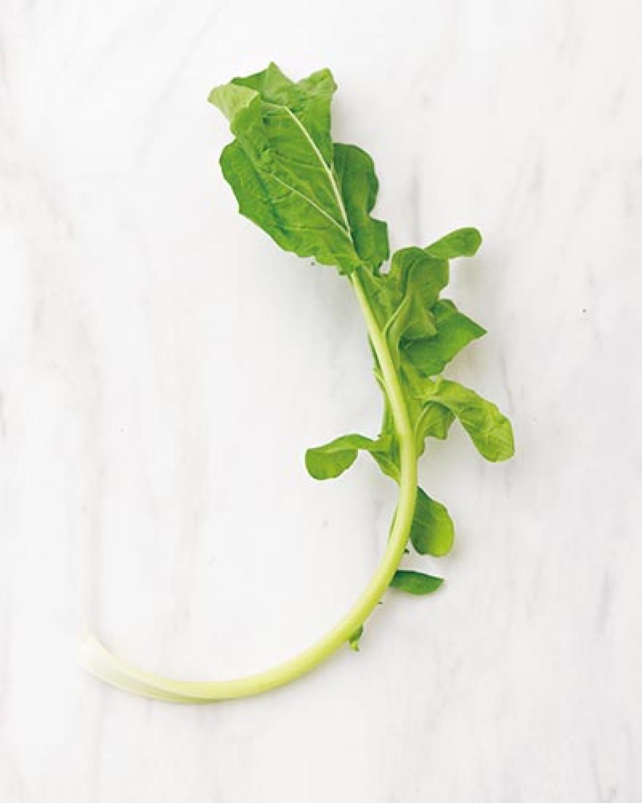 体と心に効く「ローズマリー白湯」の作り方。朝のルーテインに！（画像8）