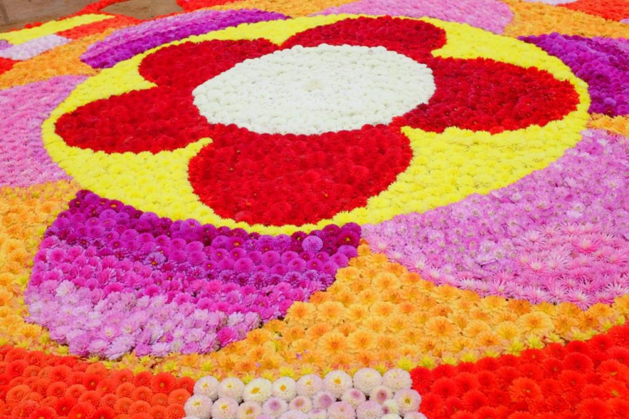 カラフルな秋の花の女王【ダリア】の名所2選｜園芸研究家・桐原春子さんおすすめ（画像8）