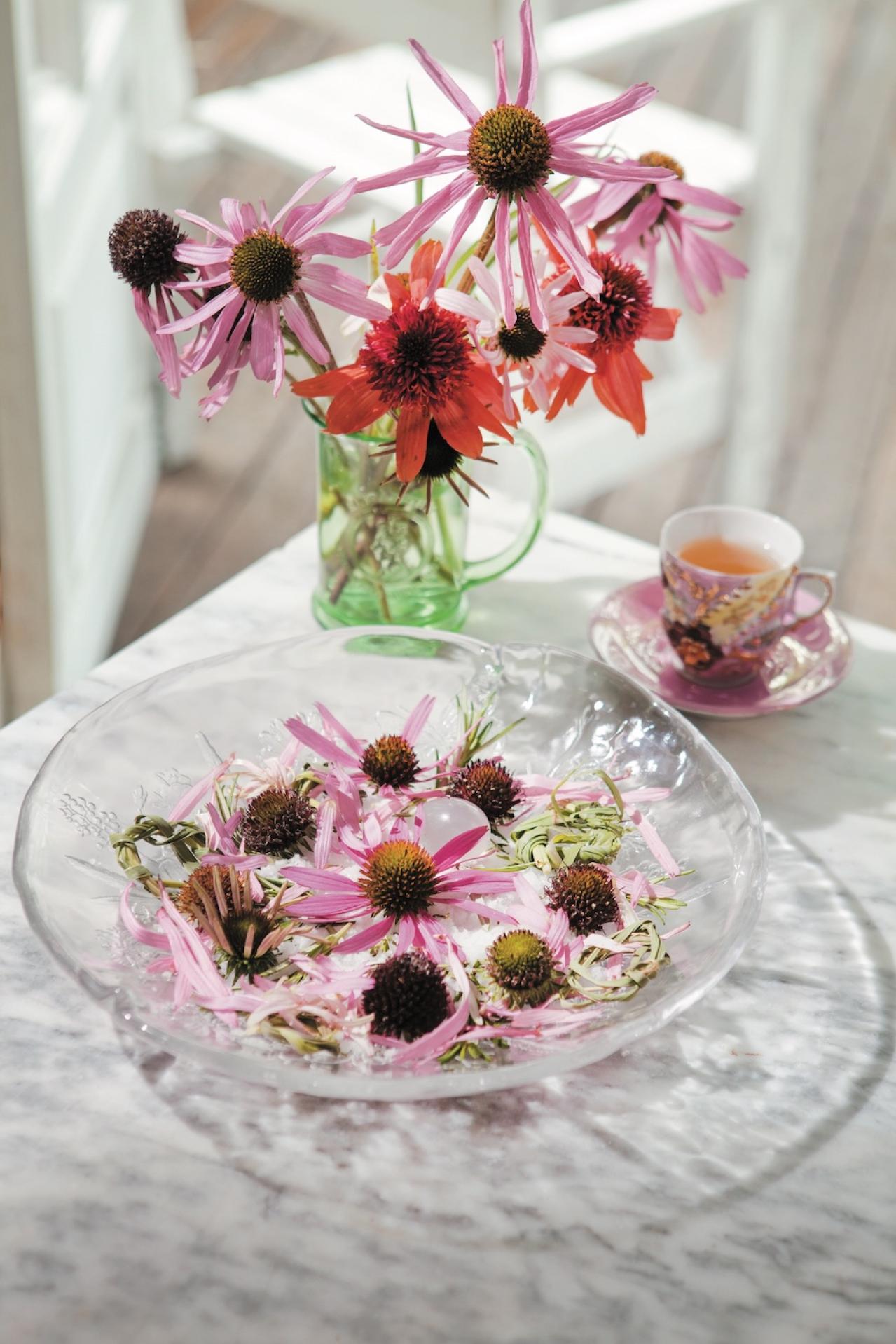 【ガーデニング】育てて楽しい多年草ハーブ【エキナセア】の栽培方法と活用アイデア2選（画像6）