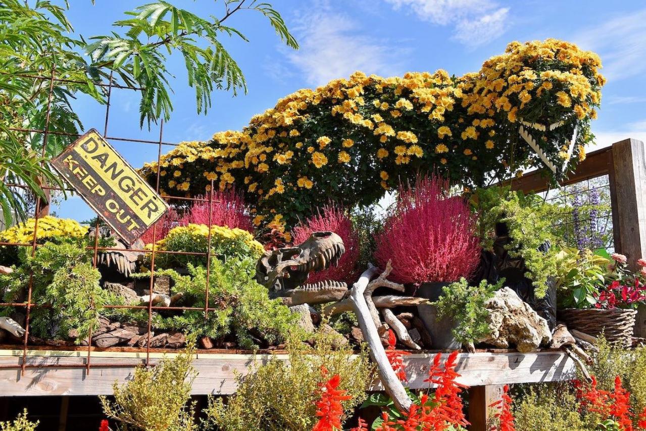 あざやかな赤、紫に一面が染まる【サルビア】の名所3選｜園芸研究家・桐原春子さんおすすめ（画像4）