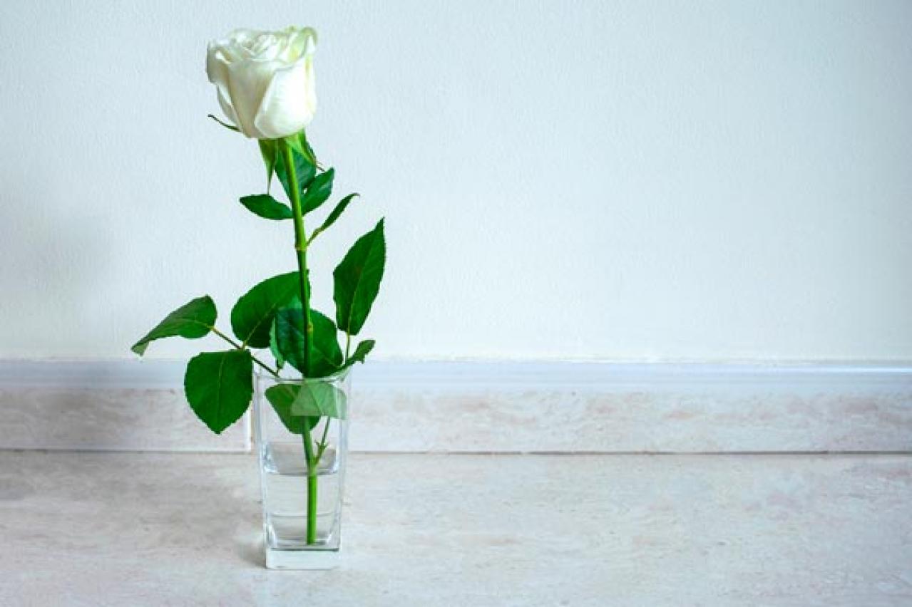 【ガーデニング】バラの夏剪定後に！秋の開花を成功させる肥料の与え方と切り花アレンジ術（画像4）