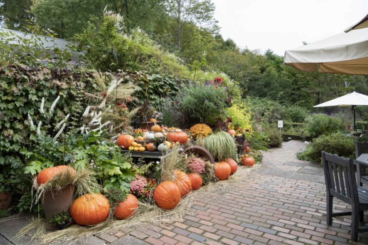 秋旅におすすめ！都心から行けるダリアの咲くガーデンめぐり（画像5）