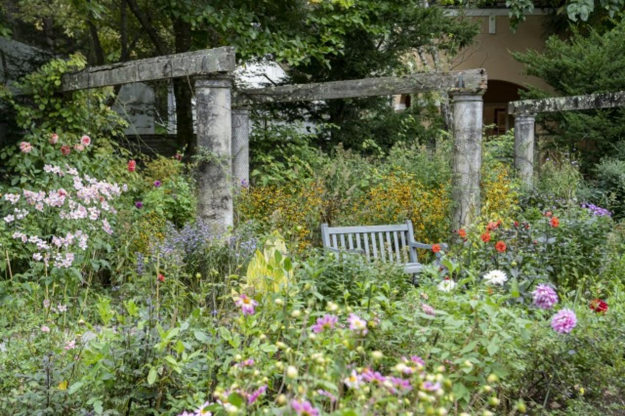 秋旅におすすめ！都心から行けるダリアの咲くガーデンめぐり（画像2）