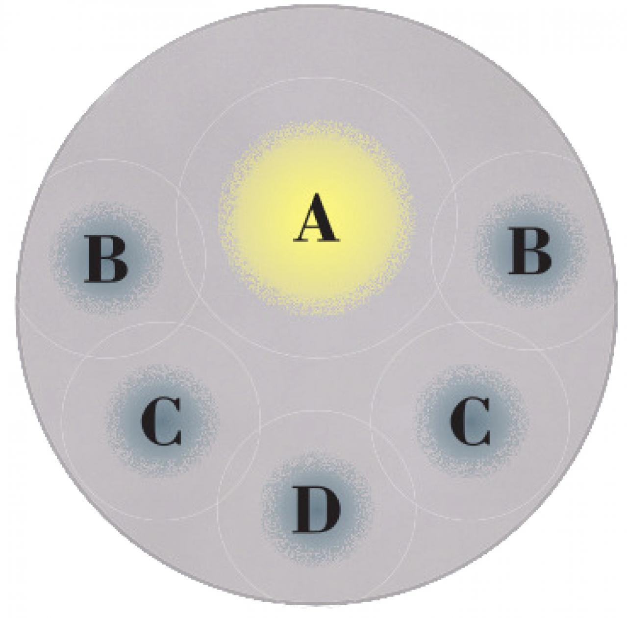 【ガーデニング】9〜10月に出回る苗で作って楽しむ【オレンジのマムの寄せ植え】（画像5）