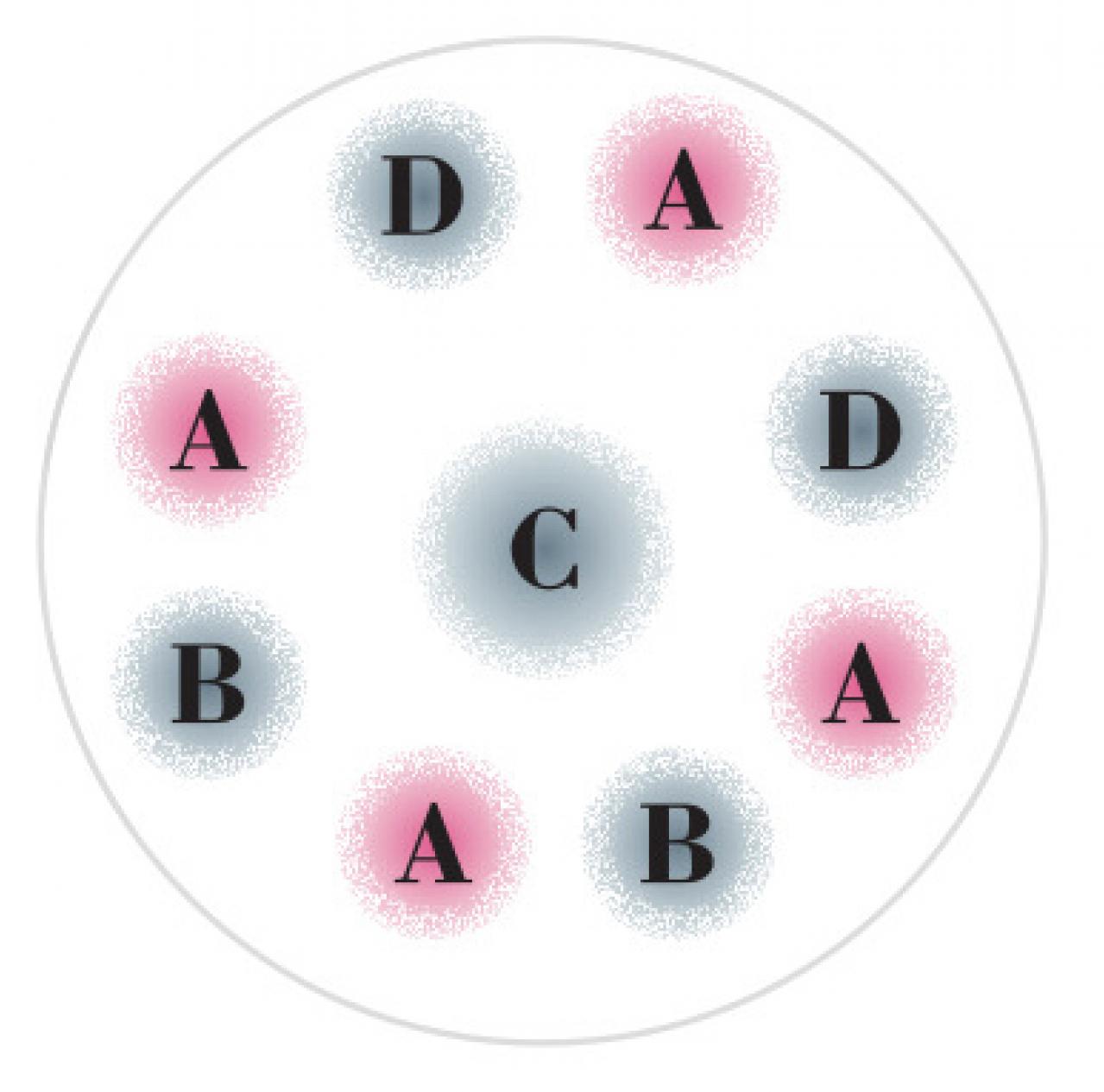 秋に作りたい【ピンクのマムの寄せ植え】愛らしい印象で空間を彩る【ガーデニング】（画像6）