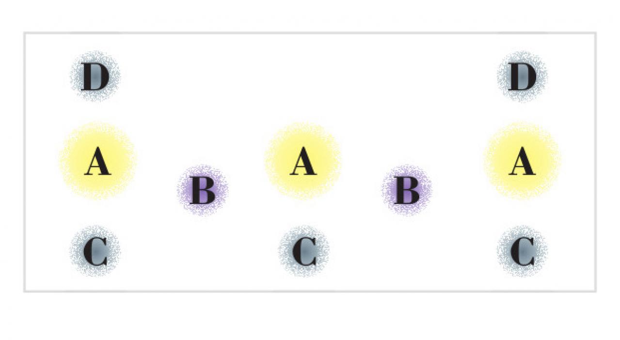 【ガーデニング】心浮き立つような華やかさ！吉谷桂子さんの【黄色いマムの寄せ植え】（画像5）