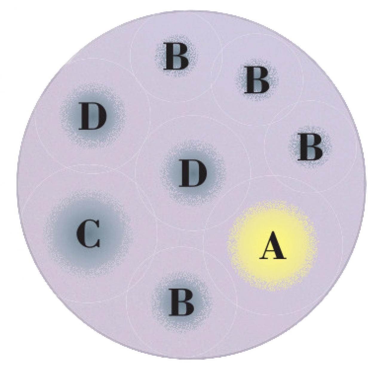 【ガーデニング】心浮き立つような華やかさ！吉谷桂子さんの【黄色いマムの寄せ植え】（画像3）