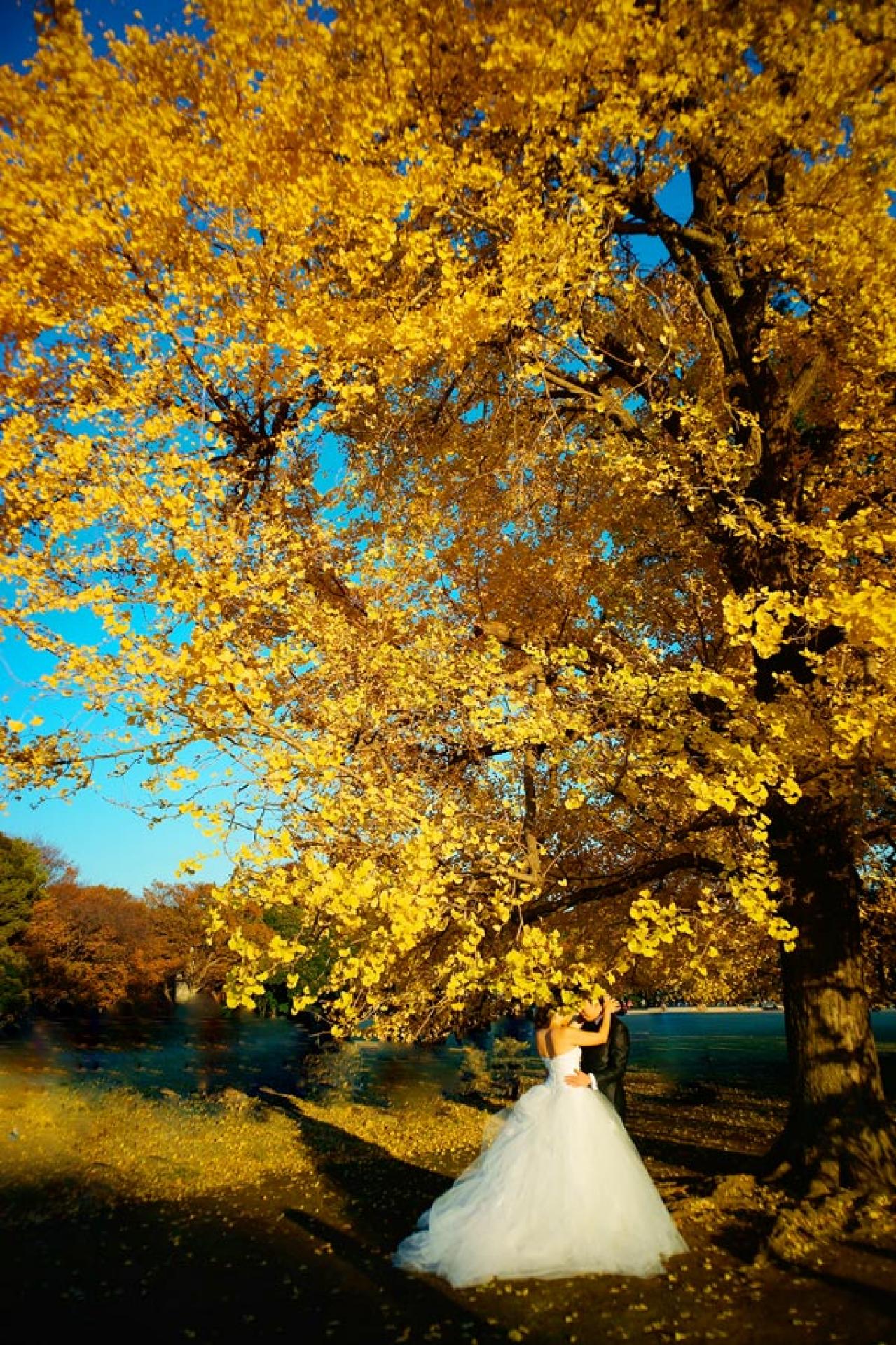 スマホで撮る紅葉写真が劇的に変わる！プロに教わるちょっとした６つのコツ（画像8）